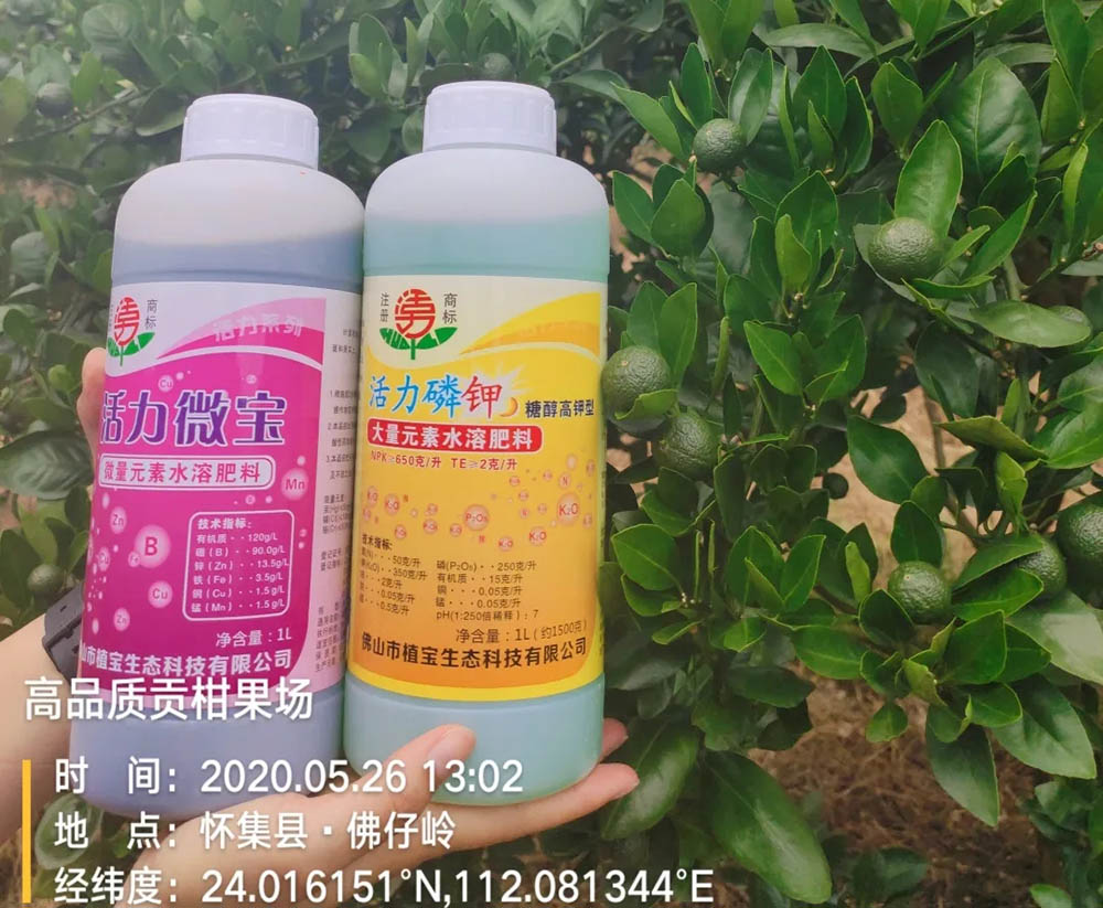环球360