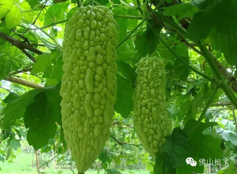 环球360