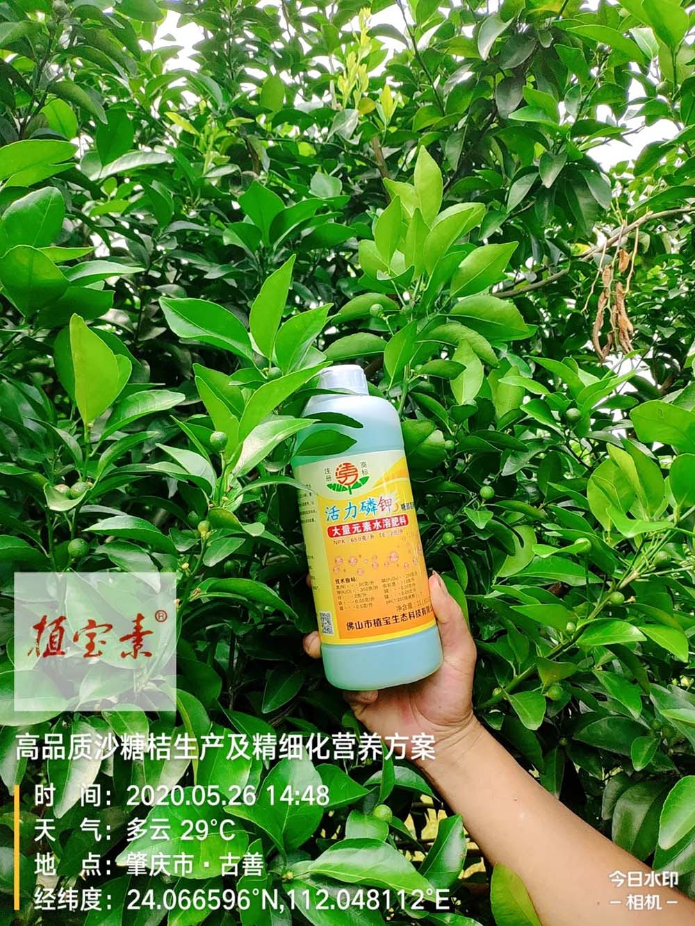 环球360