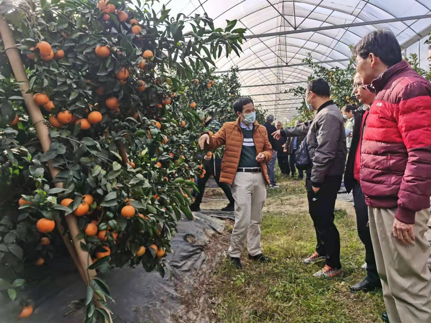 环球360素，，，，，，农业之宝_环球360