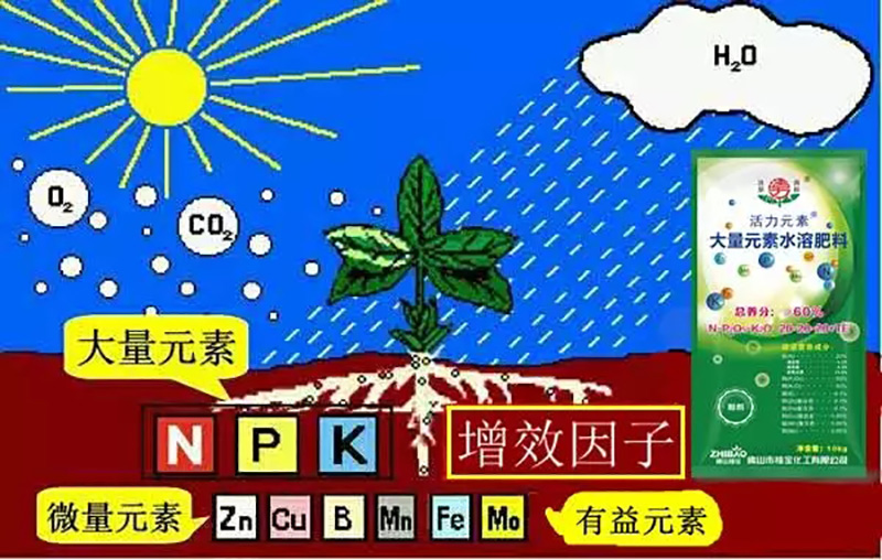 环球360