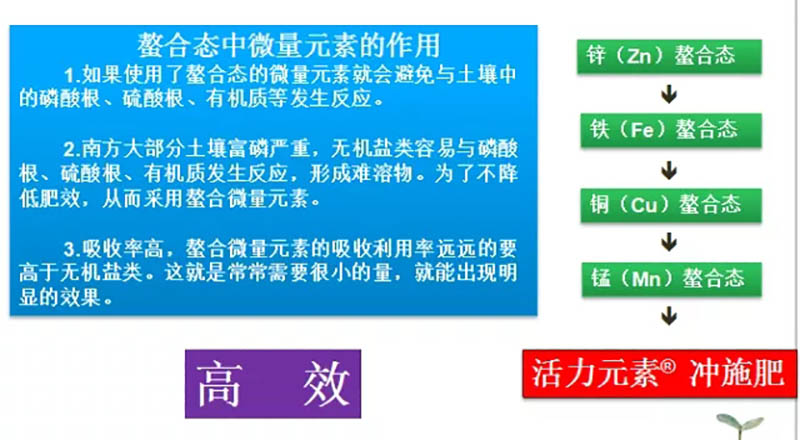 环球360