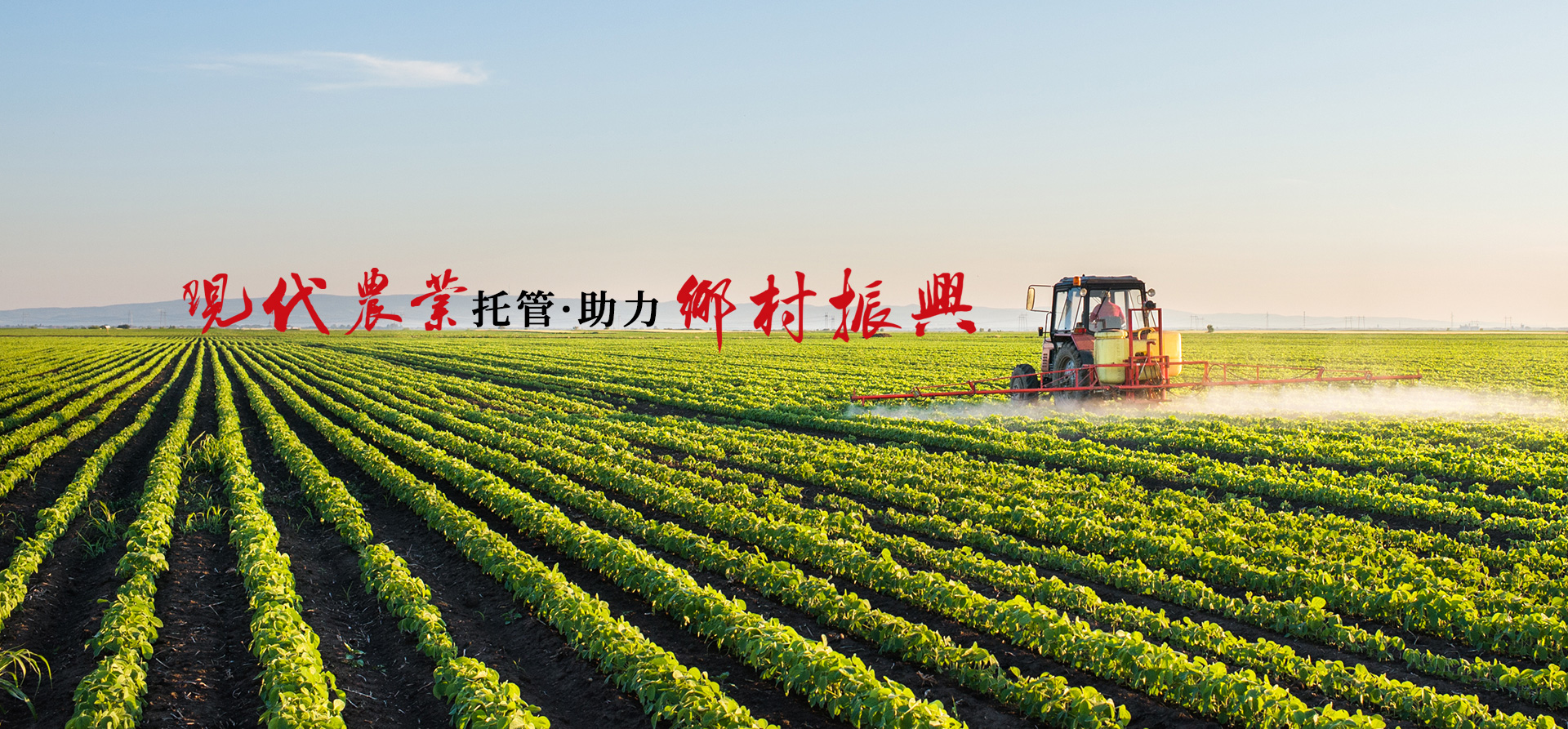 农用微生物菌剂是农药么?