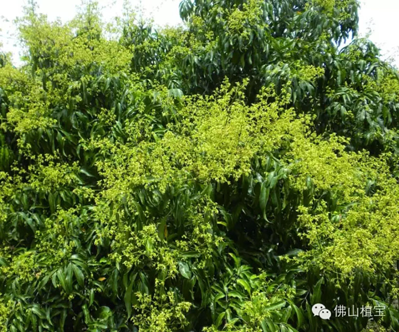 环球360