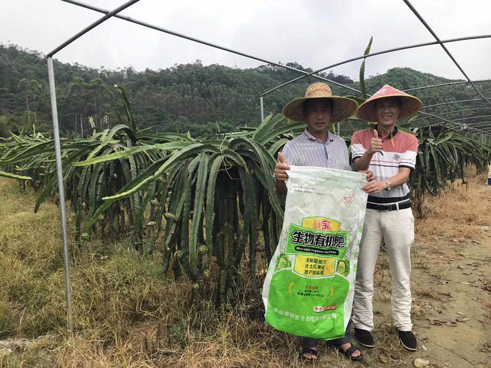 环球360生物有机肥