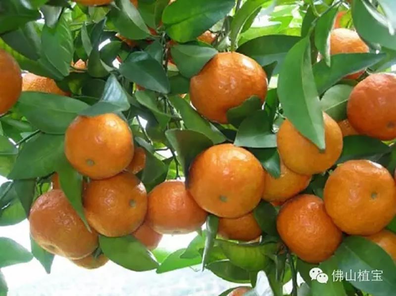 环球360