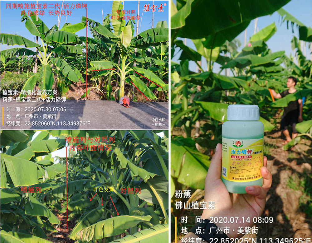 环球360