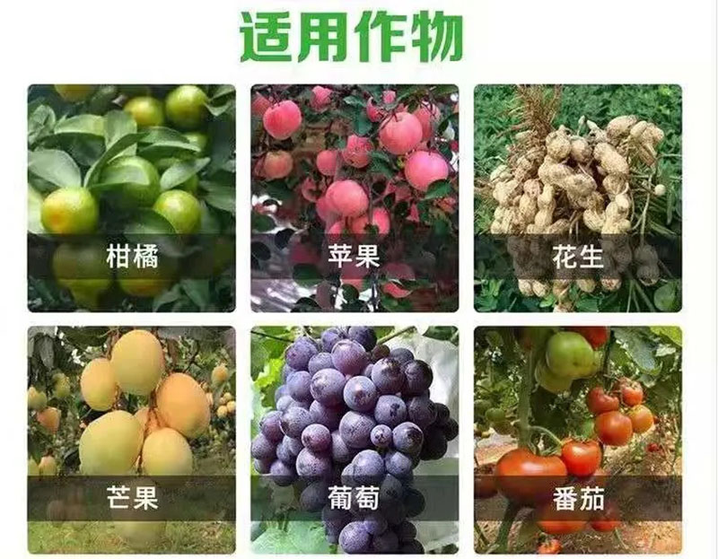 环球360