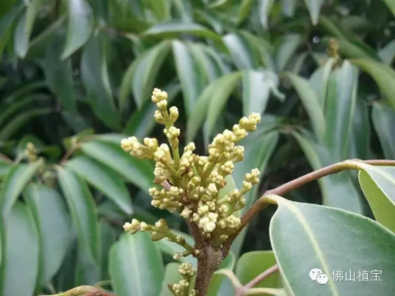 环球360