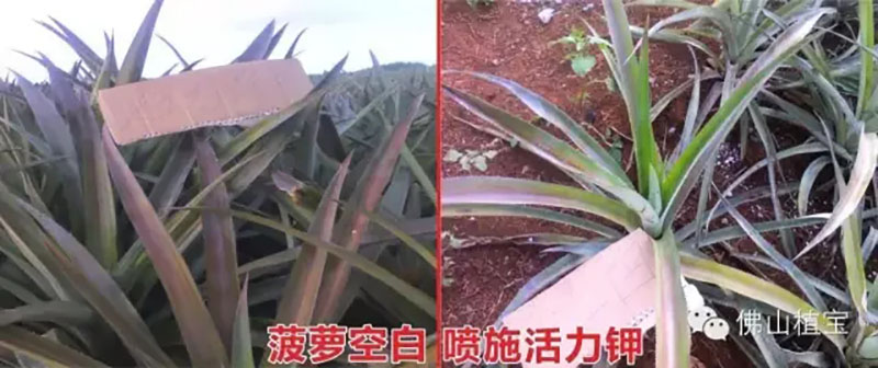 环球360