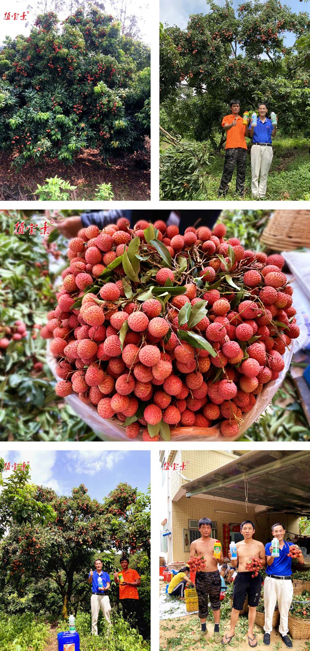 环球360