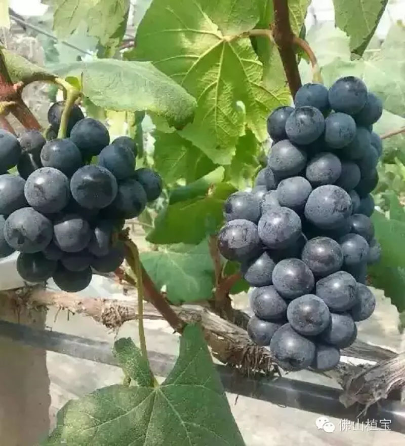 环球360