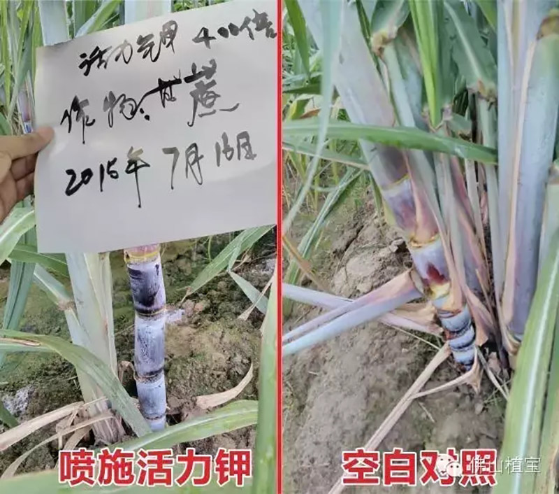 环球360
