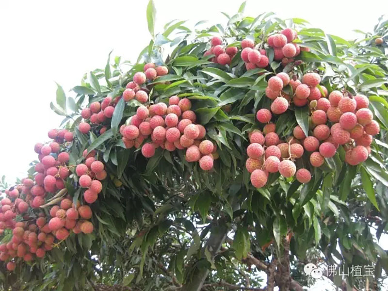 环球360